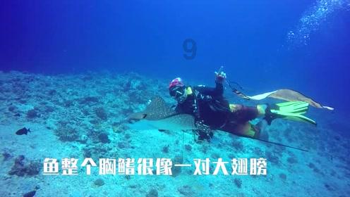 堕落之王